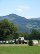 Teleblick vom Kr�ttweg nach Osten zum Hinterwaldkopf am 18.8.2008: Heuernte im Dreisamtal