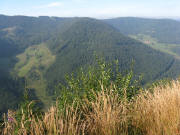 Blick nach S�den �bers Wilhelmer Tal ins Wittenbach (links) und die Katzensteig (rechts) am 29.8.2008