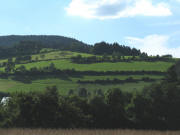 Blick von Weilersbach nach Westen zur Immi am 5.8.2008
