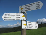 Blick nach Osten zum Wegweiser "Kohlplatzbildst�ckle 1010 m"