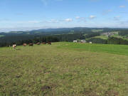 Blick �bers Kohlplatzbildst�ckle am 25.8.2008 nach Norden �ber den Kohlplatzhof auf Neukirch bis hin zum Rohrhardsberg