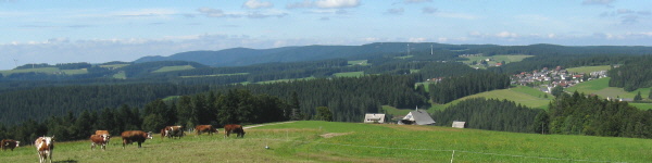 Blick vom Kohlplatzbildst�ckle nach Norden �bers Hexenloch zu St.M�rgen, Kandel, Brend und Neukirch (von links) am 25.8.2008