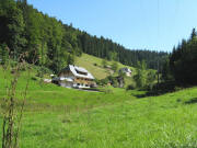 Blick nach S�den im Leiterloch am 25.8.2008 nach Oberleiterloch 