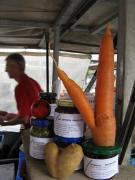 M�hren-Twin mit Herz am 22.8.2008 bei Kiener am M�nstermarkt