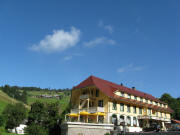 Blick nach Norden zum Gr�nen Baum am 24.8.2008