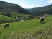 Blick von der Zufahrtstrasse nach Oberh�user nach S�den �ber Muggenbrunn am 24.8.2008