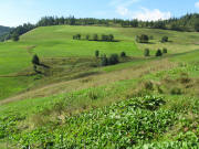 Blick von Oberh�user nach S�dn am 24.8.2008 zu Franzosenberg und "Auf der Schanz"
