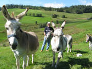 Herr Maier sen. mit den vier Eseln am 24.8.2008 - Blick nach S�dwesten