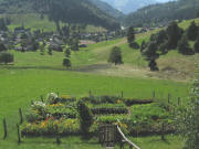 Blick �ber den Bauerngarten nach S�den am 24.8.2008 auf Muggenbrunn