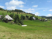 Blick �bers Gartenb�chle nach Norden auf Oberh�user am  24.8.2008
