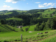Blick von der R�merstrasse Zwerisberg am 18.8.2008 nach Norden zum gerngro�hof unten am Ibenbach