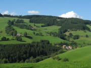 Blick von der R�merstrasse Zwerisberg am 18.8.2008 nach Nordosten  zum Dischenhof und Kapfenmathishof (ganz oben)