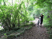 Der Rheinradweg bei Schlo� Beuggen am 14.8.2008