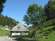 Blick nach Osten zur S�gm�hle am 25.8.2008