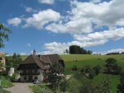 Blick nach Nordosten zum Rotenbauernhof und "Auf der Steig" am 18.8.2008