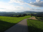 Blick nach Nordwesten �ber den Steigweg bis St.Peter - rechts Abzweig zum Rufenh�usle am 25.8.2008