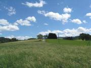 Blick nach Osten �ber den H�henr�cken der Steig am 18.8.2008