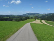 Blick nach Nordwesten �ber den Steigweg bis St.Peter - rechts Abzweig zum Rufenh�usle am 18.82008