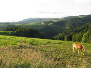 Blick vom Steighof nach Nordwesten �ber Schweigbrunnen und Wagensteigtal zum Zwerisberg bis hin zum Kandel am 25.8.2008