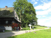 Blick nach Norden zur Rankm�hle am 18.8.2008