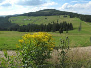 Blick nach Westen zur Erlenbacher H�tte am 5.8.2008