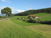 Blick nach Osten zum Kleiserhof am 25.8.2008