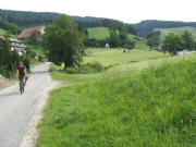 Blick ins Weilersbach nach Osten am 31.8.2008