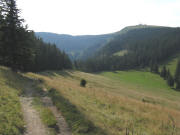 Blick �ber den H�ttenwasen nach S�dosten zum Feldberg am 31.8.2008
