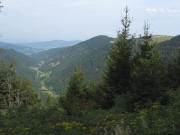 Blick vom Dr.Ganter-Weg nach Westen �bers Zastlertal am 31.8.2008