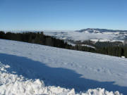 Blick vom Oberen Fahrenberg beim Bl�sibauernhof am 16.12.2008 nach Nordwesten bis zum Kandel