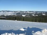Blick vom Oberen Fahrenberg beim Bl�sibauernhof am 16.12.2008 nach Norden zu Kandel und St.M�rgen