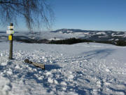 Blick vom Oberen Fahrenberg am 16.12.2008 nach Norden zum Kandel