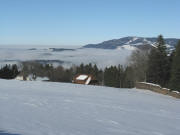 Tele-Blick nach Norden �ber den  Benediktenhof und Rheintalnebel zum Kandel am 16.12.2008