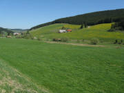 Blick nach Norden ins Jostal zum Berggrunderhof (rechts) und Mattenbauernhof am 11.5.2008
