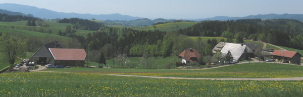 Blick nach Westen zu Brosihof und Pfisterhof (rechts) am 11.5.2008 - links der Schauinsland