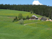 Blick nach Norden zum B�hlhof am 13.5.2008