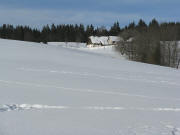 Blick nach Norden zum Dengishof am 15.12.2008