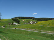 Blick nach Norden von der B500 zum Dorerhof rechts am 13.5.2008 - Staatsberghof ganz rechts oben