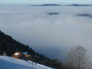 Tele-Blick von der Anh�he beim Langhansen nach Westen �ber den Holzschlaghof ins Nebelmeer von Spirzen und Rheintal am 16.12.2008