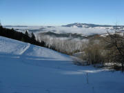 Blick nach Norden vom Kernenh�uslehof in Breitnau-Freyel am 16.12.2008 �ber Nebel zum Kandel  