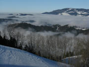 Blick nach Norden vom Kernenh�uslehof in Breitnau-Freyel am 16.12.2008 �ber Nebel zum Kandel  
