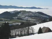 Tele-Blick vom Kernewiesenhof nach Westen �ber Bush�usle und Lindenberg zum nebligen Dreisamtal am 23.12.2008