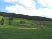 Blick nach Osten zum K�hbauernhof mit Kapelle am 13.5.2008