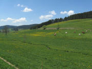 Blick vom F�rberhof nach Norden ins Langenordnachtal am 11.5.2008