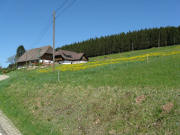 Blick nach Nordwesten  zum Lettwies-Hof oben im Linachtal am 13.5.2008