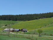 Blick nach Norden zum Lorenzenhof am 11.5.2008