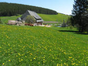 Blick nach Nordosten �ber L�wenzahn zum Michelshof am 13.5.2008