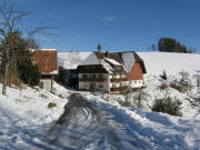 Blick nach Osten zum Rotenbauernhof am 8.12.2008