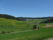 Blick unterhalb Schachenbauernhof zum nach Norden auf Schw�rzenbach-T�le am 11.5.2008