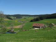 Blick �ber den Schachenbauernhof nach Norden hoch auf Schw�rzenbach-T�le am 11.5.2008